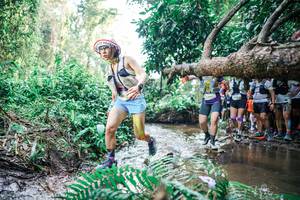 BIB: 
                            <button type="button" onclick="openModal(25472438)" class="btn btn-primary btn-sm float-right btn-popup" data-toggle="modal" data-target=".modal-high-quality">
                        <i class="fas fa-shopping-cart"></i> Add to Cart
                    </button>
                                            <button type="button" onclick="isThisMe(25472438, true)" class="btn btn-success btn-sm float-right btn-popup btn-isme hidden" data-toggle="tooltip" data-placement="bottom" title="นี่คือรูปของคุณใช่ไหม คลิกที่นี่เพื่อเอาเข้าอัลบั้ม">
                        <i class="fas fa-plus"></i> Add to album
                    </button>
                    <button type="button" onclick="isThisMe(25472438, false)" class="btn btn-warning btn-sm float-right btn-popup btn-isnotme hidden">
                        <i class="fas fa-ban"></i> Remove from album
                    </button>